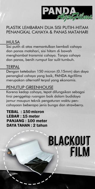 Panda Film Flyer page 0001